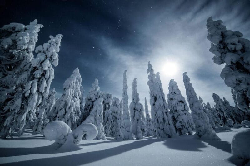 Rovaniemi: Snowy Forest Night Hike with Northern Lights - An In-Depth Look at the Snowy Forest Night Hike