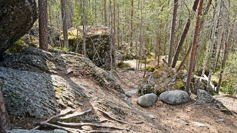 Rovaniemi: Sukulanrakka & Devil's Churns Tour - Final Thoughts