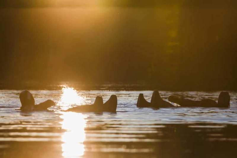 Rovaniemi: Summer Day Floating Experience - The Value of a Calm Arctic Day