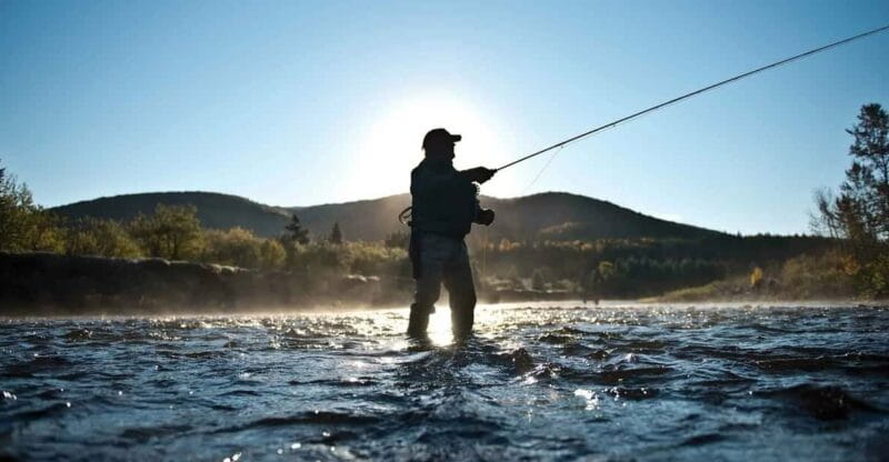 Rovaniemi: Summer Fishing Tour in Arctic Nature & BBQ - Who Should Consider This Tour?