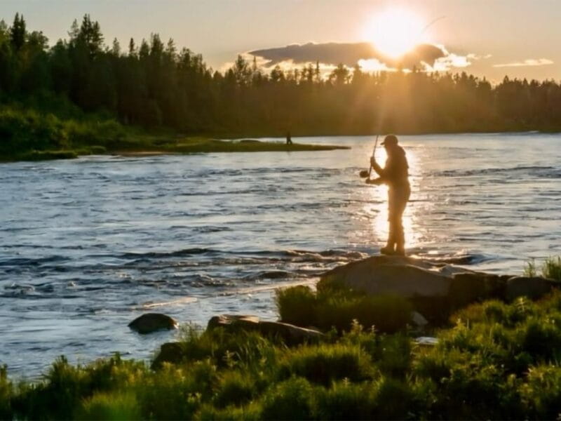 Rovaniemi: Summer Fishing Tour in Arctic Nature & BBQ - Practical Details and Tips for Your Tour