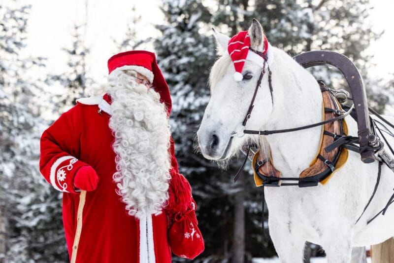 Rovaniemi: Traditional Finnhorse Sleigh Ride at SCV (3km) - Key points / Takeaways