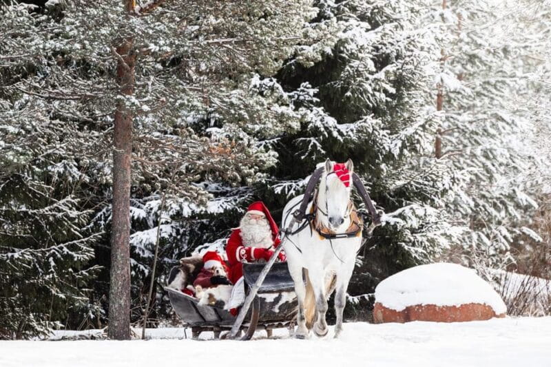 Rovaniemi: Traditional Finnhorse Sleigh Ride at SCV (3km) - An In-Depth Look at the Finnhorse Sleigh Ride Experience
