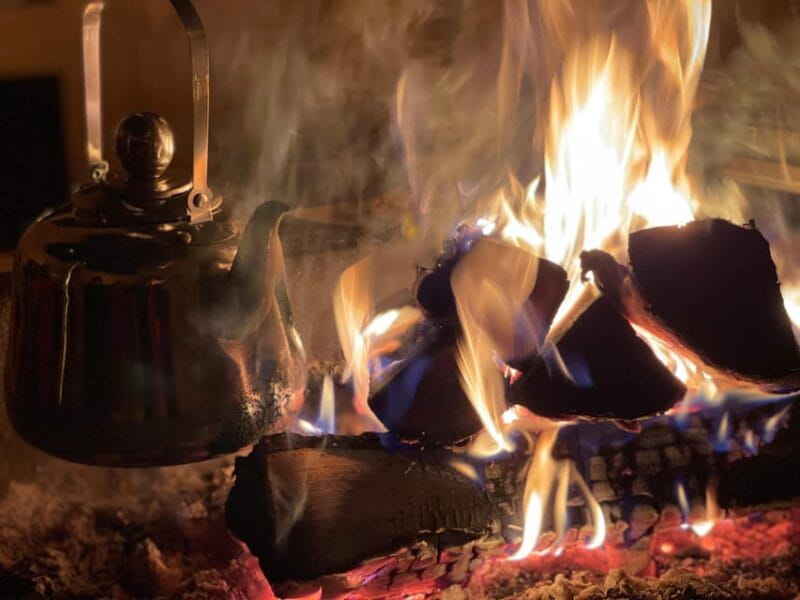 Rovaniemi: Traditional Finnhorse Sleigh Ride at SCV (3km) - Who Will Enjoy This Experience?