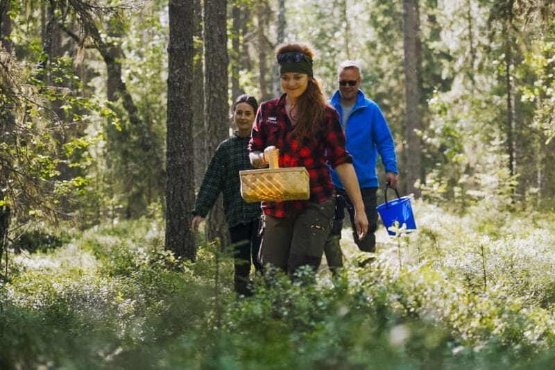 Rovaniemi : Trekking in the Heart of Nature - Price and Value