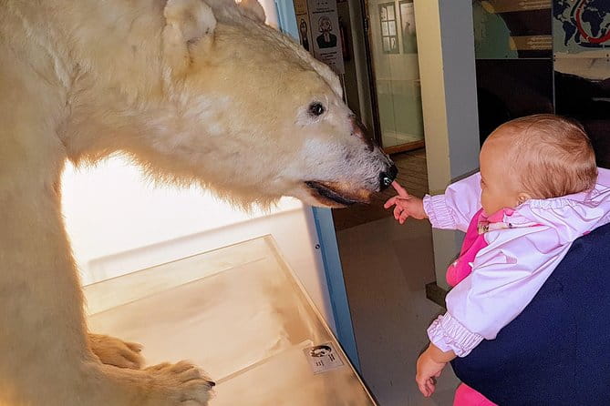 Rovaniemi walking tour and guided Arktikum experience - Who Should Book This Tour?