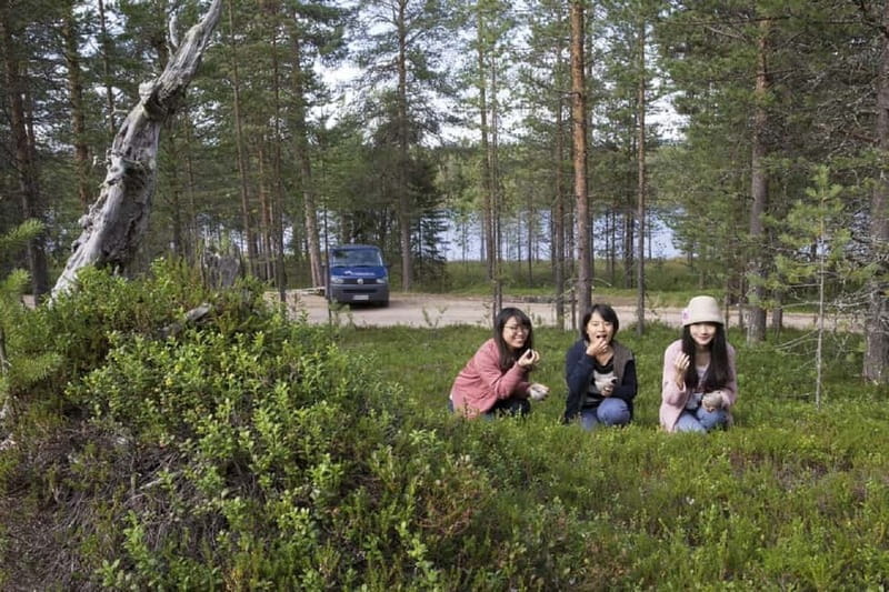 Rovaniemi: Wild Berry Picking and Juice Making - Who Should Consider This Experience?