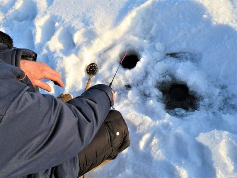 Rovaniemi: winter ice fishing tour - Price and Value Considerations