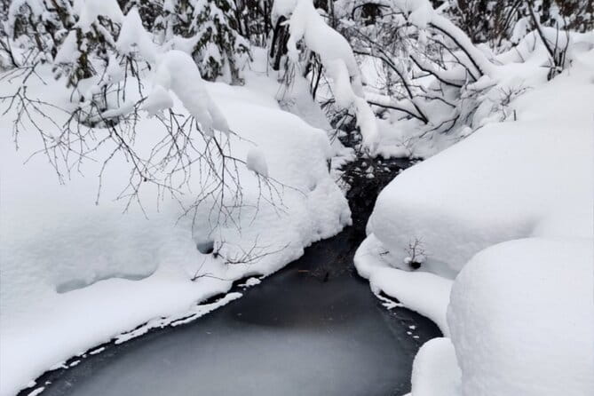 Rovaniemi: Winter Wonderland Vikaköngäs Hiking Tour & BBQ - Key Points