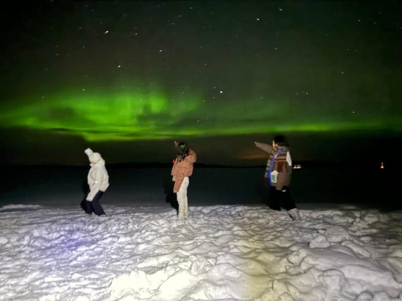 Rovaniemi:Northern Lights Hunt in Lapland Wilderness - Key Points / Takeaways