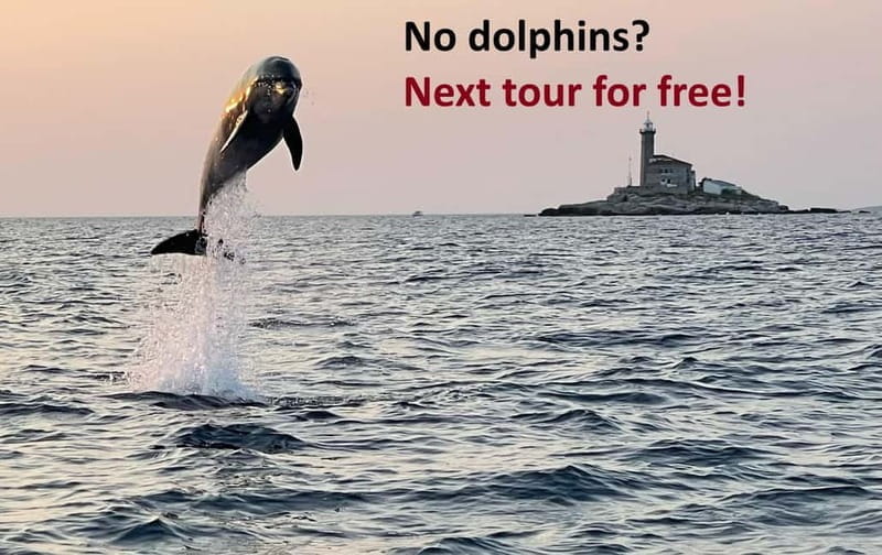 Rovinj: Dolphin Watching Sunset Speedboat Tour with Drinks - Price and Value: Does It Justify the Cost?