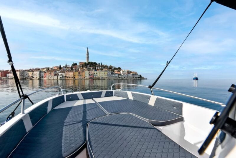 Rovinj: Dolphin Watching Sunset Speedboat Tour with Drinks - Who Will Love This Tour?