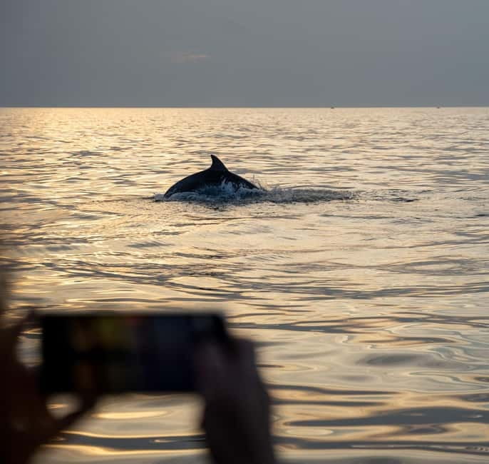 Rovinj: Dolphins at Sunset & Island Swimming Speedboat Tour - Discovering Rovinj’s Coastline from the Water