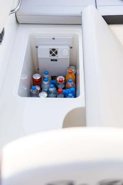 Rovinj: Dolphins at Sunset & Island Swimming Speedboat Tour - Price and Logistics