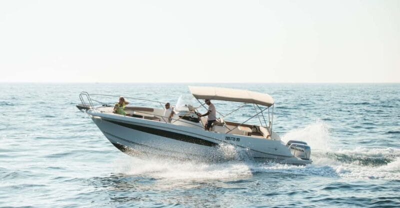 Rovinj: Family Friendly Dolphin Watching Tour - Key points / Takeaways