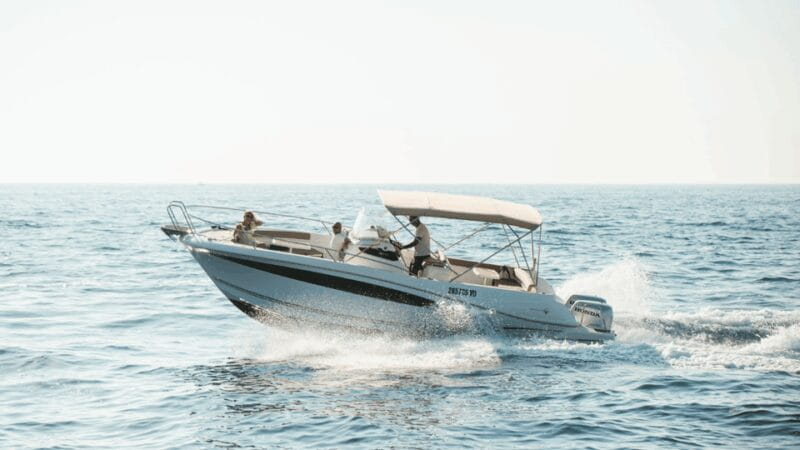 Rovinj: Family Friendly Dolphin Watching Tour - Educational and Interactive Elements