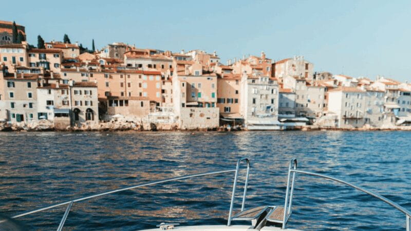 Rovinj: Family Friendly Dolphin Watching Tour - Who Is This Tour Best For?