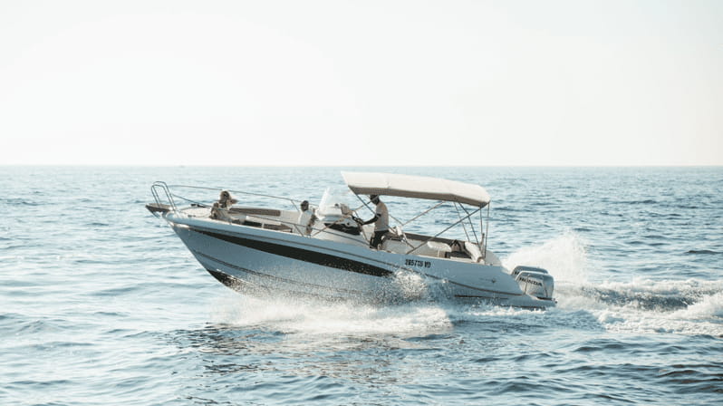 Rovinj: Family Friendly Dolphin Watching Tour - Practical Tips for Your Dolphin Watching Tour