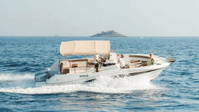 Rovinj: Family Friendly Dolphin Watching Tour - FAQ