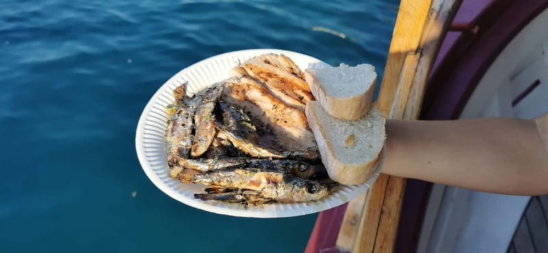 Rovinj: Fish picnic with sunset and dolphin watching - Savoring a Local Fish Picnic