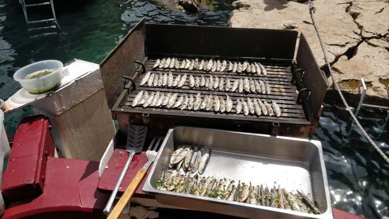 Rovinj: Fish picnic with sunset and dolphin watching - Sunset and Dolphin Watching in Lim Fjord