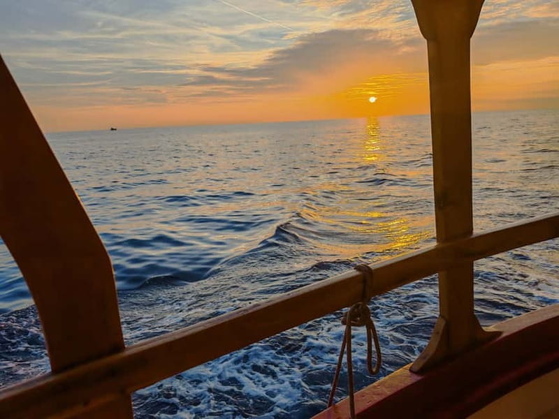 Rovinj: Fish picnic with sunset and dolphin watching - The Return Journey: Scenic and Relaxed