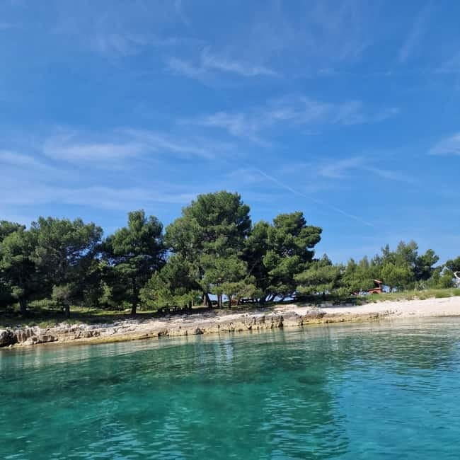 Rovinj Islands: 3-Hour Tour with Swimming and Snorkeling - Key Points / Takeaways