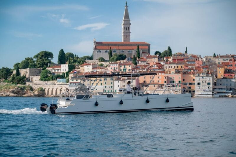 Rovinj: Sunset & dolphin group tours with Catamaran - Flexibility and Private Options: Beyond the Public Tour