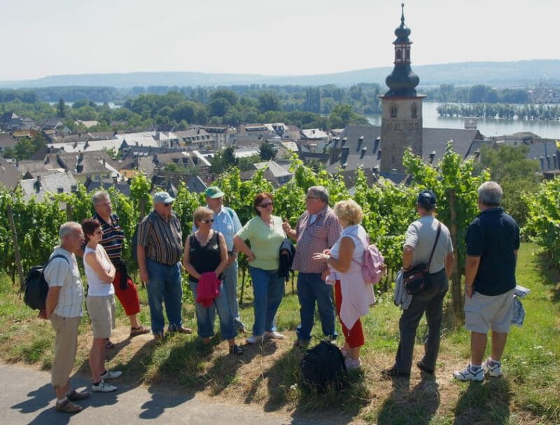 Rüdesheim am Rhein: city tour - Key Points & Takeaways