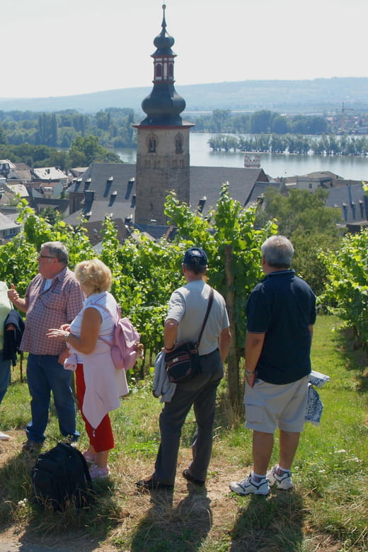 Rüdesheim am Rhein: city tour - In-Depth Look at the Itinerary