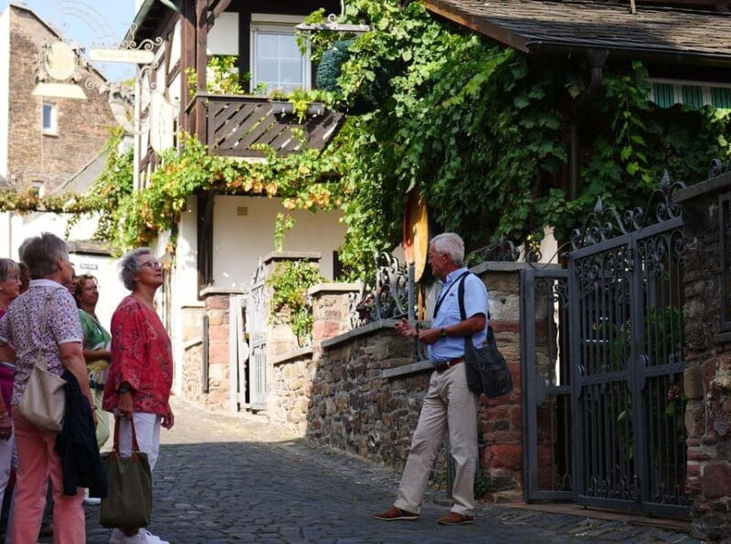 Rüdesheim am Rhein: city tour - Practical Tips for Travelers
