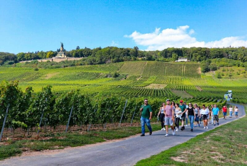 Rüdesheim - Guided wine hikes with 4wines and cable car ride - The Sum Up: A Genuine Taste of Rüdesheim