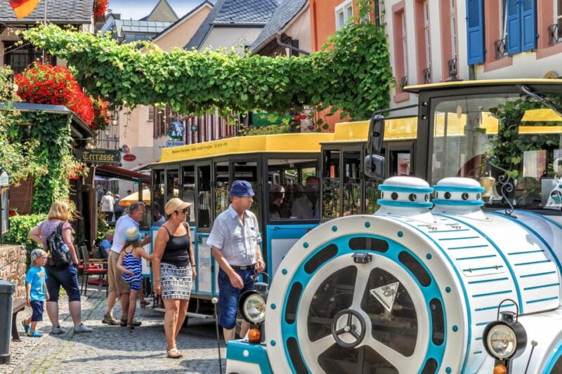 Rüdesheim sightseeing tour with the Winzerexpress - Who should consider this tour?