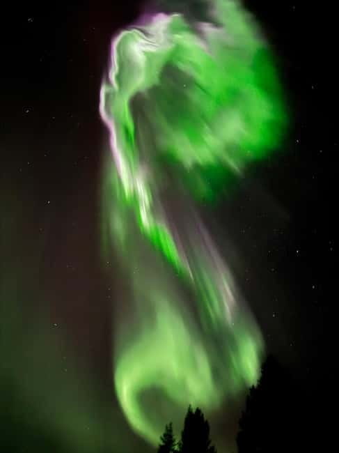 Ruka: Aurora Quest - Northern Lights Hunt by Car - The Main Event: Aurora Watching