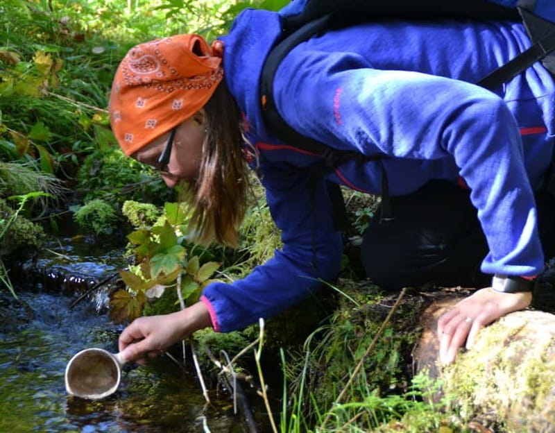 Ruka: Midnight sun hike to Valtavaara - What the View From Valtavaara Looks Like