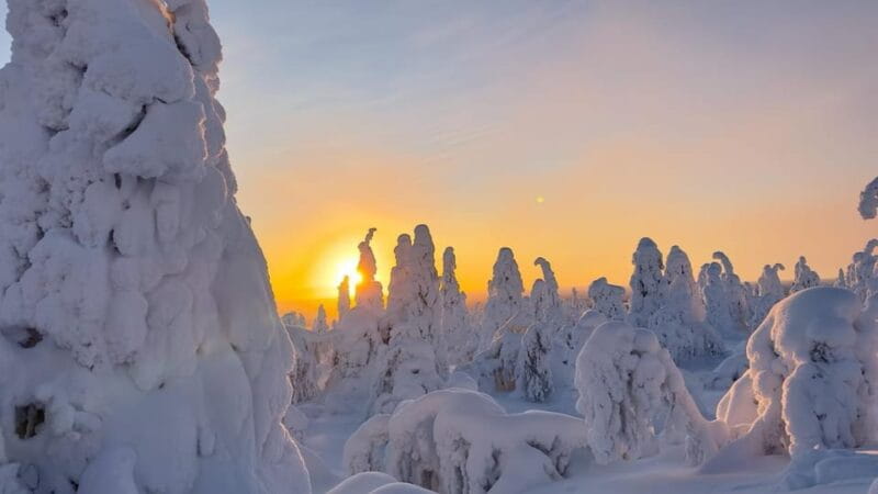 Ruka: Riisitunturi National Park with lunch. - Discovering Riisitunturi National Park: An Honest Look at an Arctic Adventure