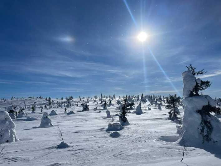 Ruka: Riisitunturi National Park with lunch. - The Cozy Lunch in the Finnish Wilderness