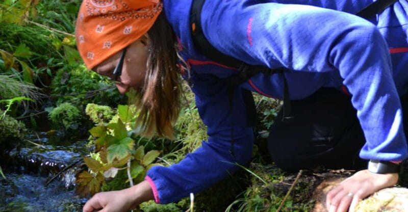 Ruka : Strength from nature  Hiking trip - Exploring the "Strength from Nature" Hiking Safari in Ruka