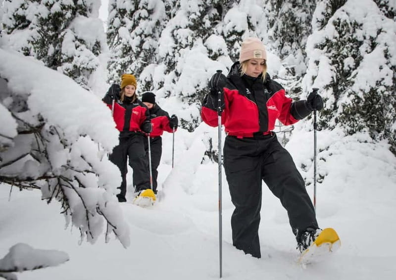 Ruka:Daytime winter wonderland hike - Key points / Takeaways