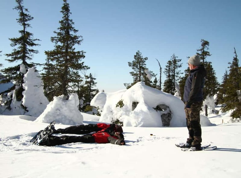 Ruka:Daytime winter wonderland hike - Entering the Arctic Forest: The Experience Begins