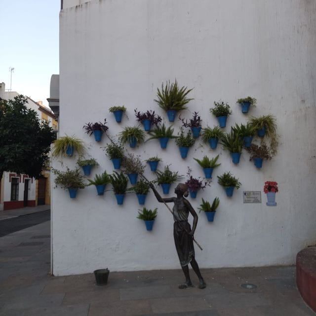 Running Tour Córdoba - Participant Requirements