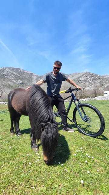 Rural biking & wine tasting tour - Price and Value