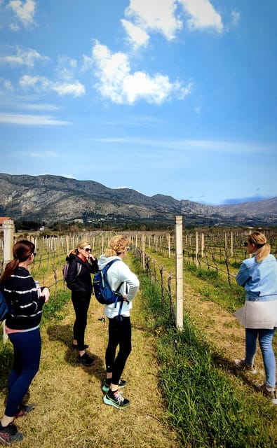 Rural biking & wine tasting tour - Final Thoughts