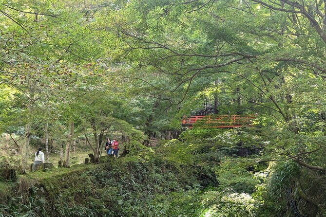 Rural Kyoto One Day Tour of a Tranquil Landscape in Ohara - Key Points