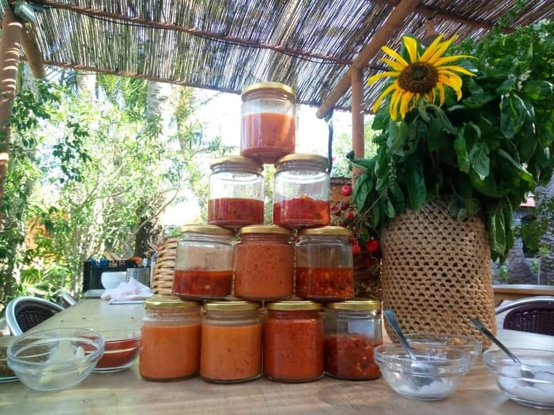 Rural Life Experience: Mojo Workshop and botanical Walk - Key points / Takeaways