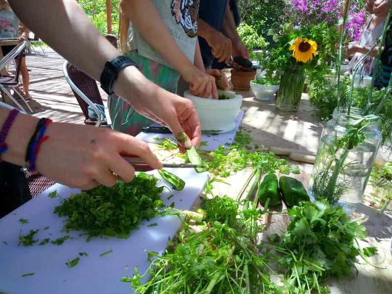 Rural Life Experience: Mojo Workshop and botanical Walk - FAQs