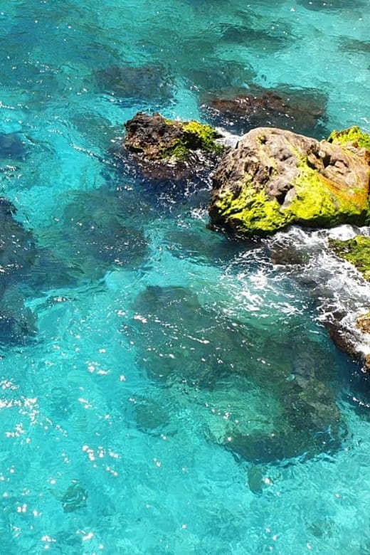 Ruta libre en paddel surf por la cascada de Nerja y Maro - What Makes This Paddle Surf Experience Special?