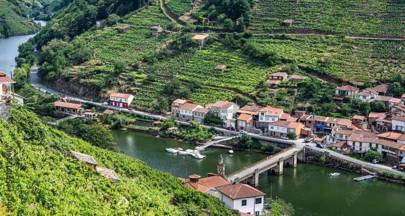 Ruta Ribeira Sacra and Sarria: Between Vineyards, History and the Way of Saint James - Key points / Takeaways