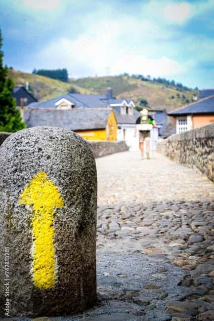 Ruta Ribeira Sacra and Sarria: Between Vineyards, History and the Way of Saint James - Exploring Galicia’s Scenic Vineyards by Boat and Foot