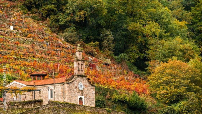 Ruta Ribeira Sacra and Sarria: Between Vineyards, History and the Way of Saint James - Lunch and Sarria’s Jacobean Charm